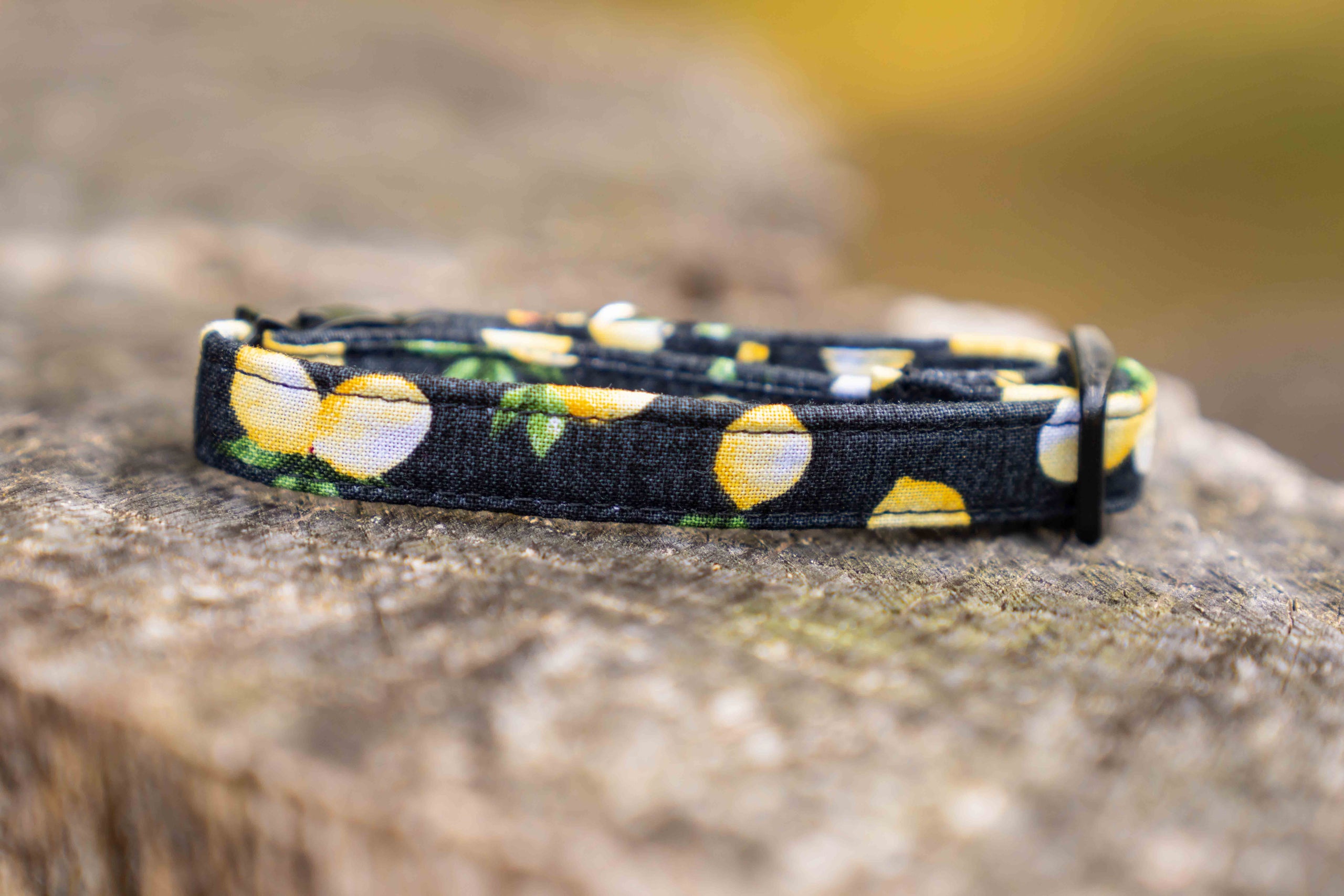 Lemon hotsell cat collar